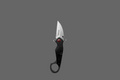 Black Folding Silver Blade #9452