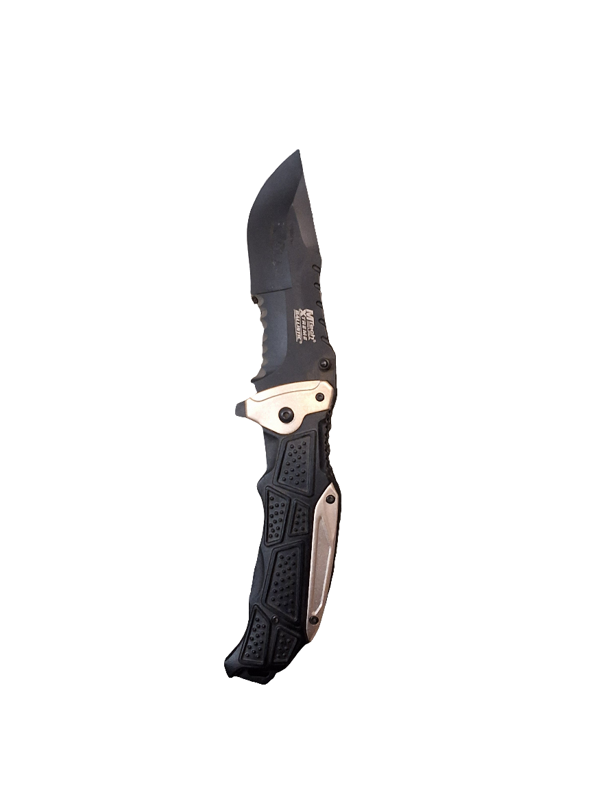 Metallic Tan & Blk Folder