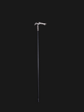 Fantasy Alien Cane