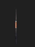 Triangular Spear with Wooden Handle and Baton Feature