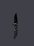 Zebra Folder W/ Rhinestone