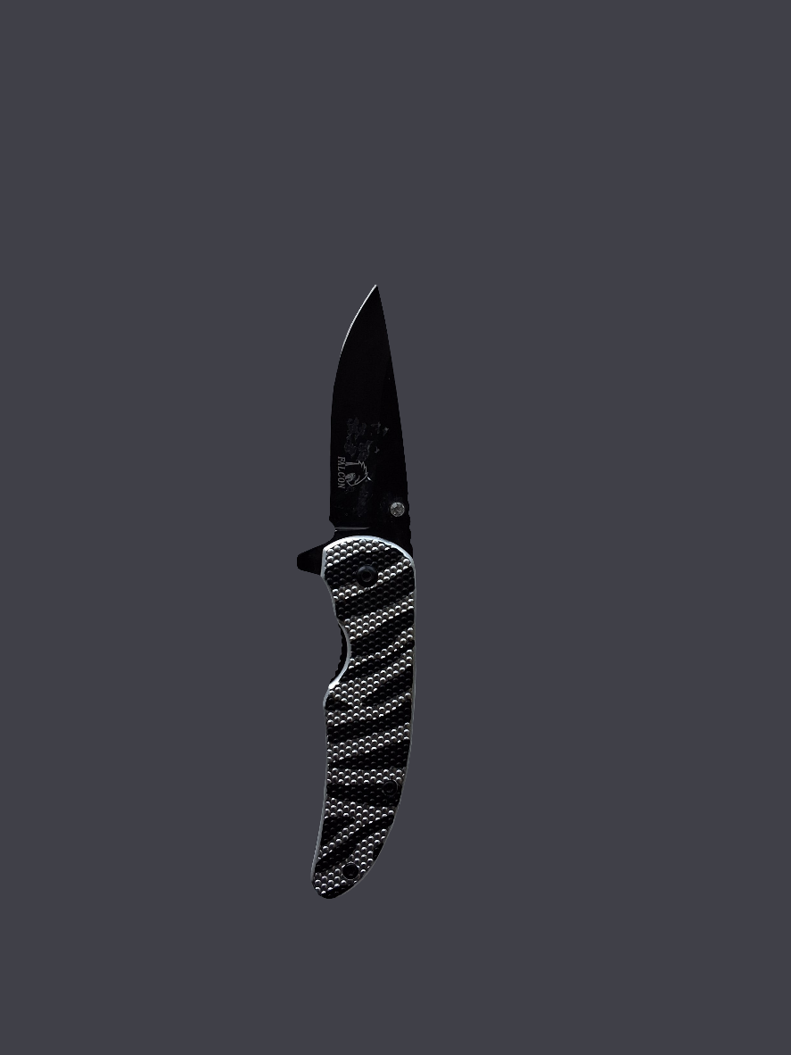 Zebra Folder W/ Rhinestone