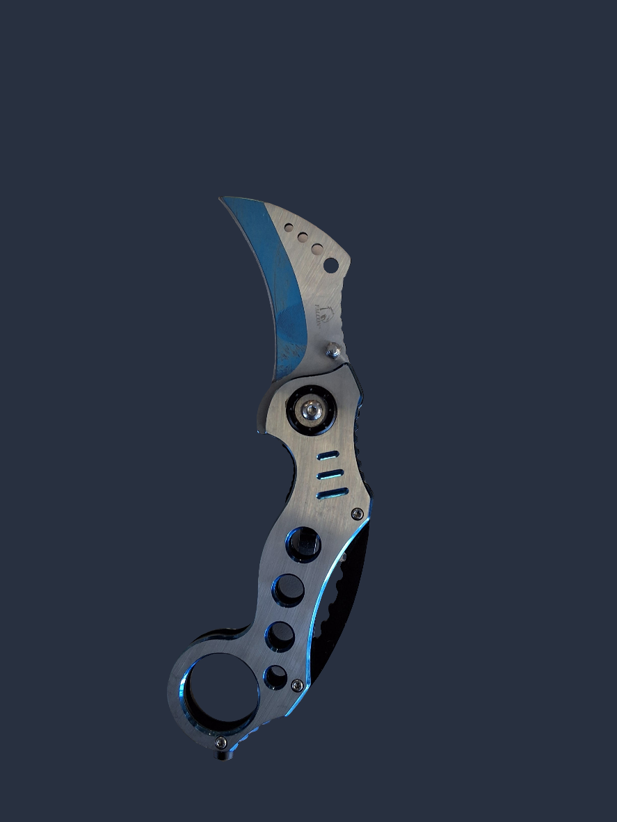 Silver Karambit Blue Detail
