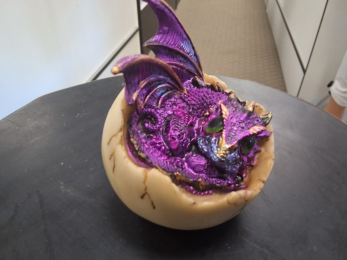 Little purple dragon hatching