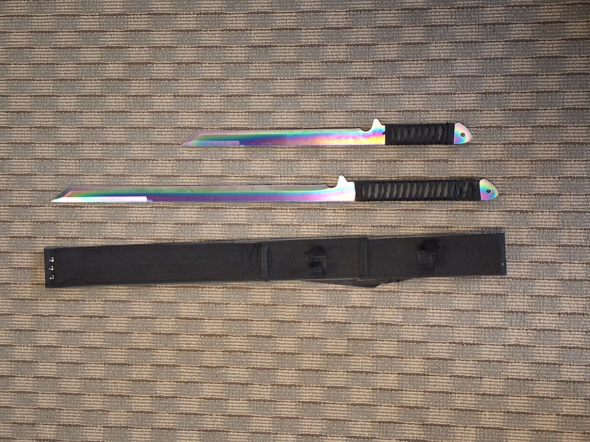 Dual rainbow short swords in Sheath