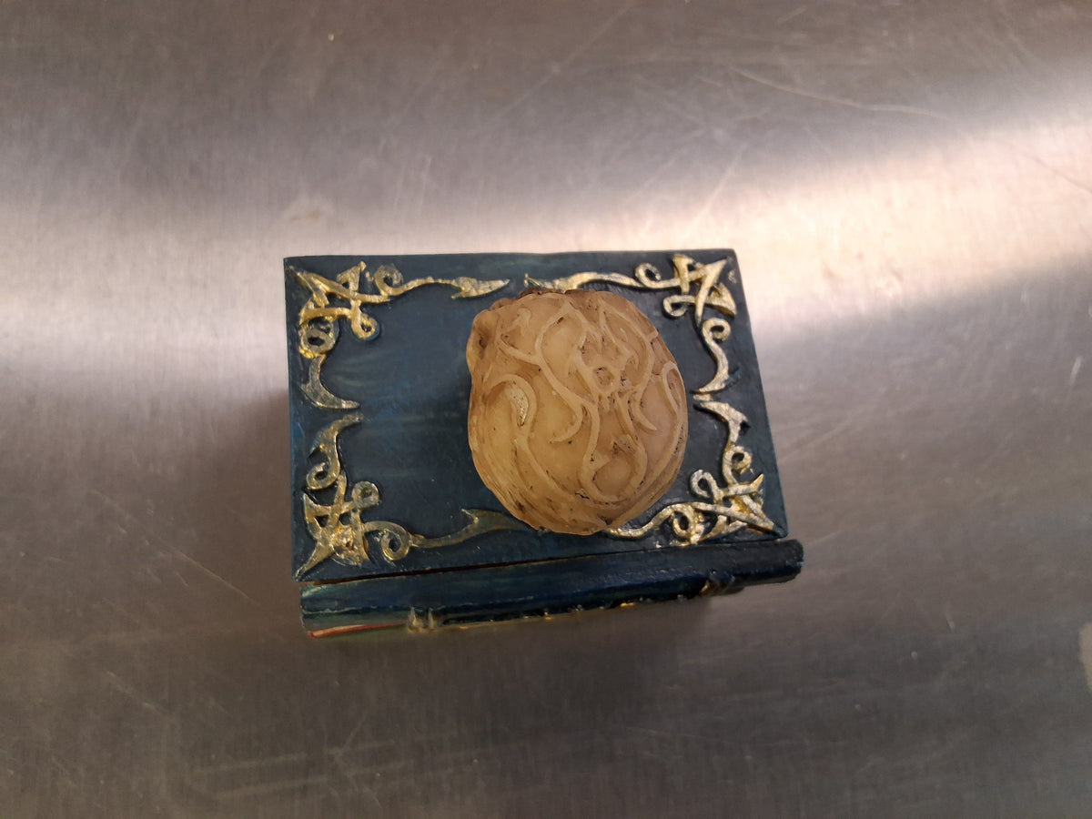 Skull on top of blue book