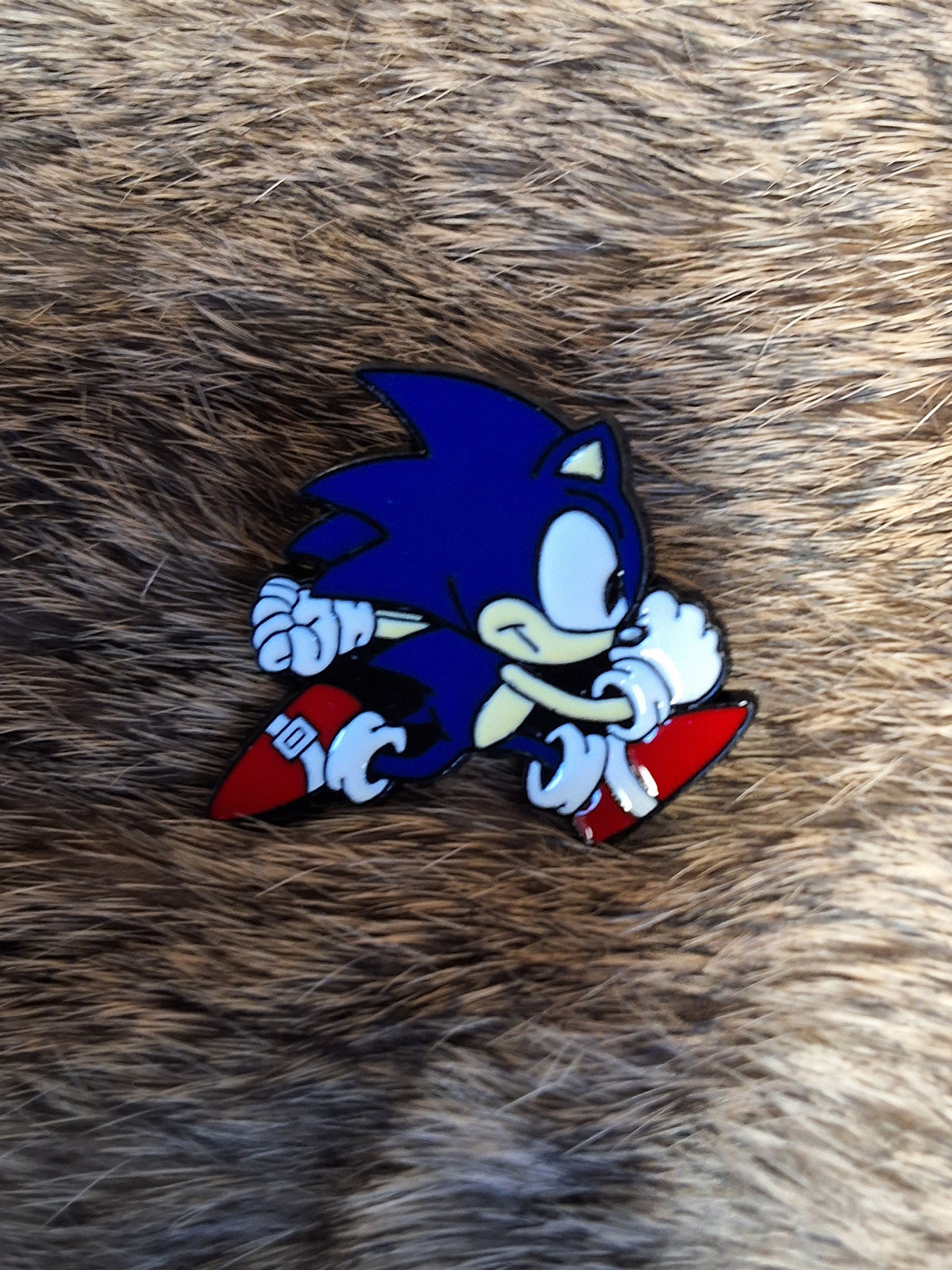 Sonic The Hedgehog Pin #1858