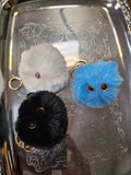 Mini Furry kittens