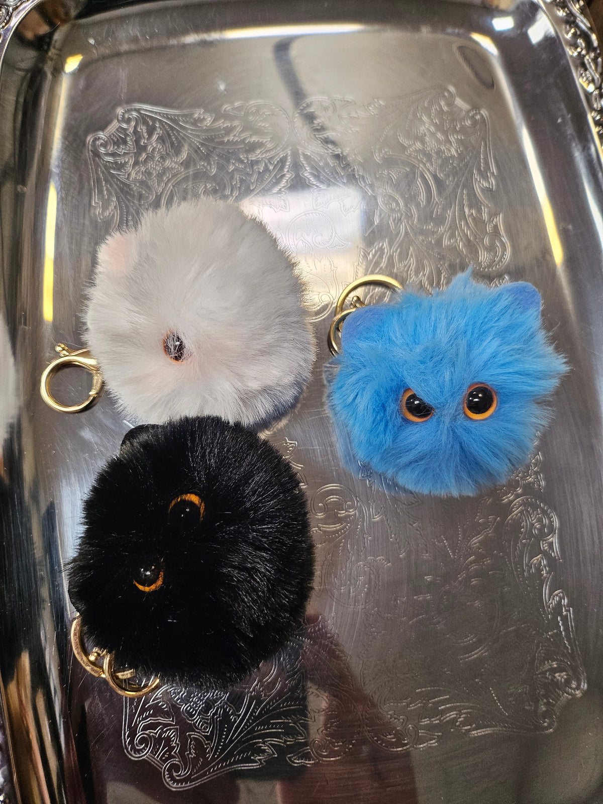 Mini Furry kittens