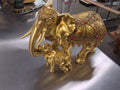 Golden elephant with calf