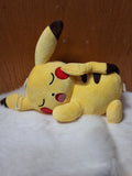Pokemon Sleeping Pikachu Plushie #1760