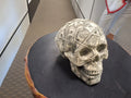 Skull Rapped In $100 Bills