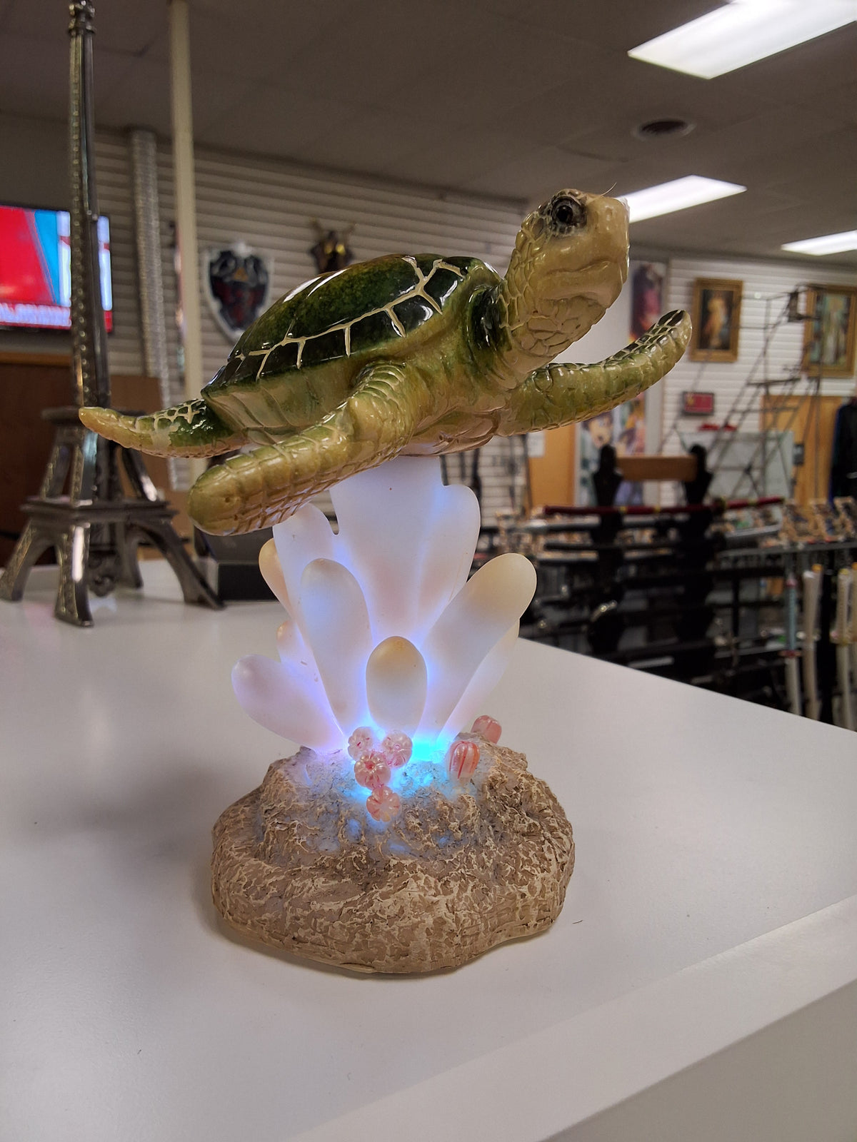 Sea turtle swimming on coral L.E.D