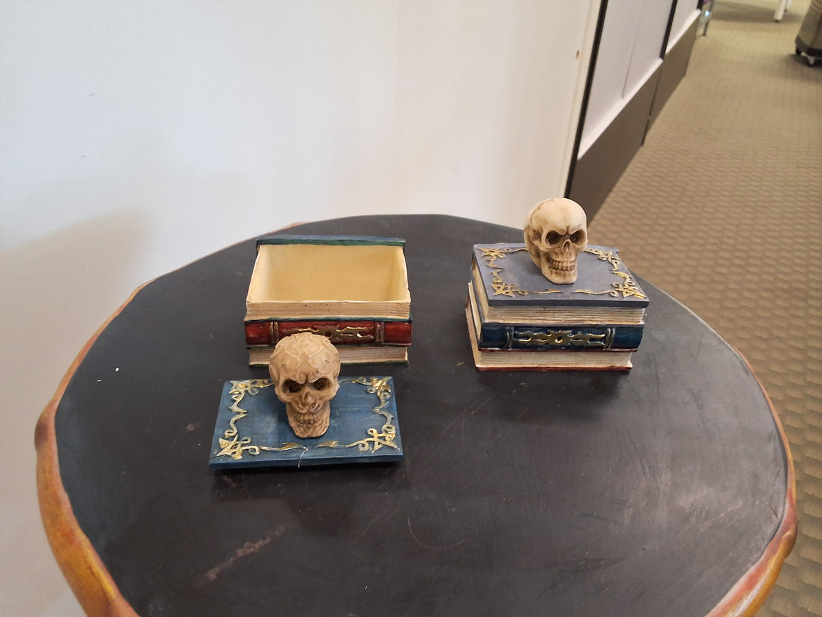 Skull on top of blue book