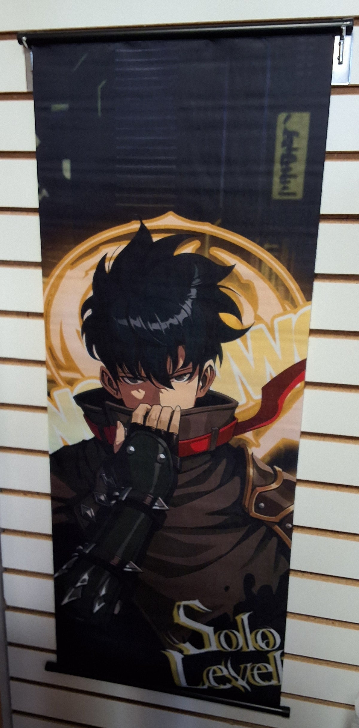 Sung Jinwoo Collar Wall Scroll #1892