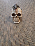 SKULL WITH ALLIGATOR ON TOP
