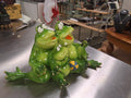 Frog Family Taking selie