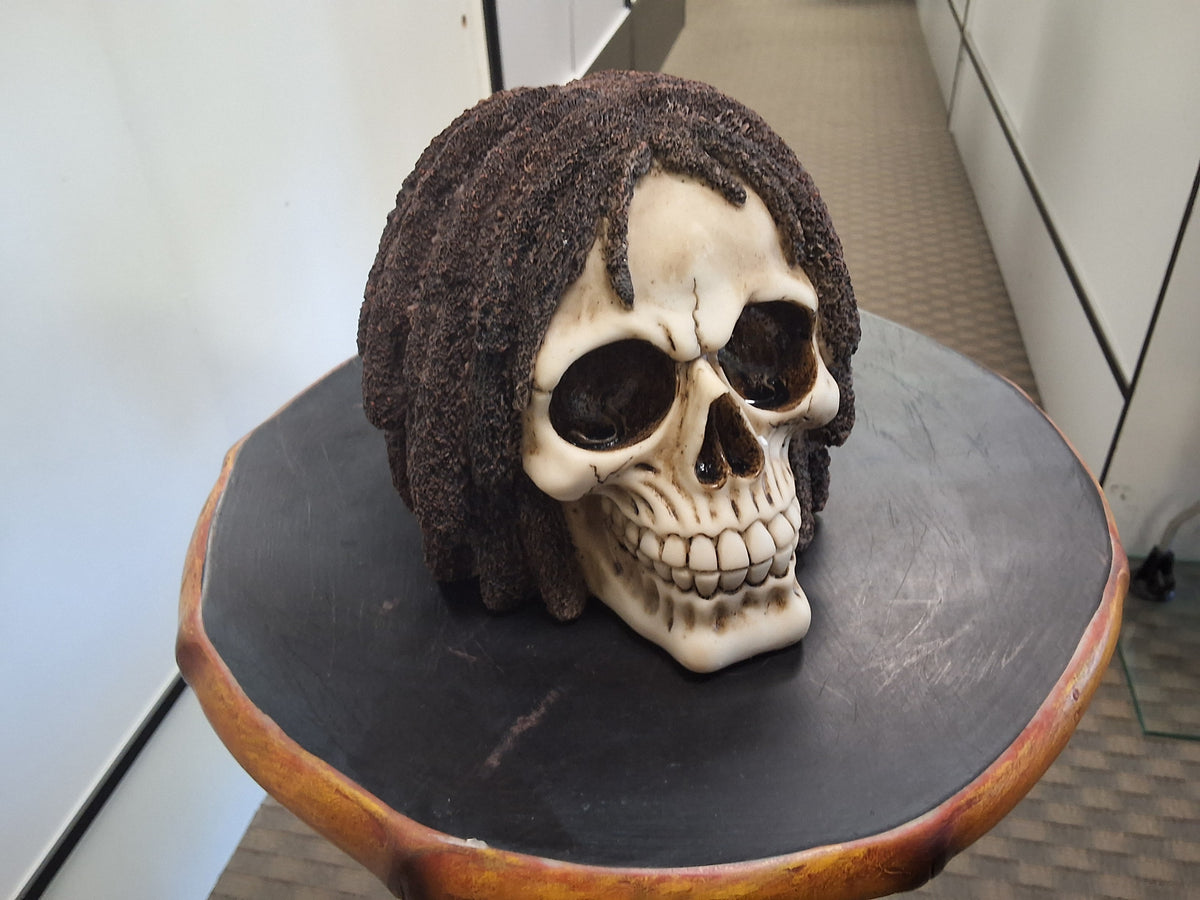 Skull With Dreadlocks