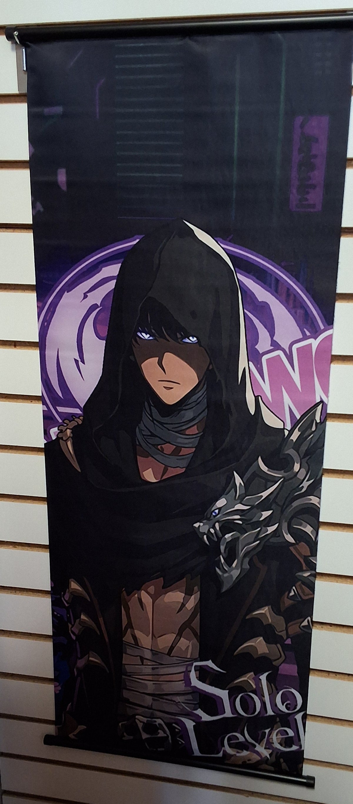 Sung Jinwoo Hooded Wall Scroll #1891