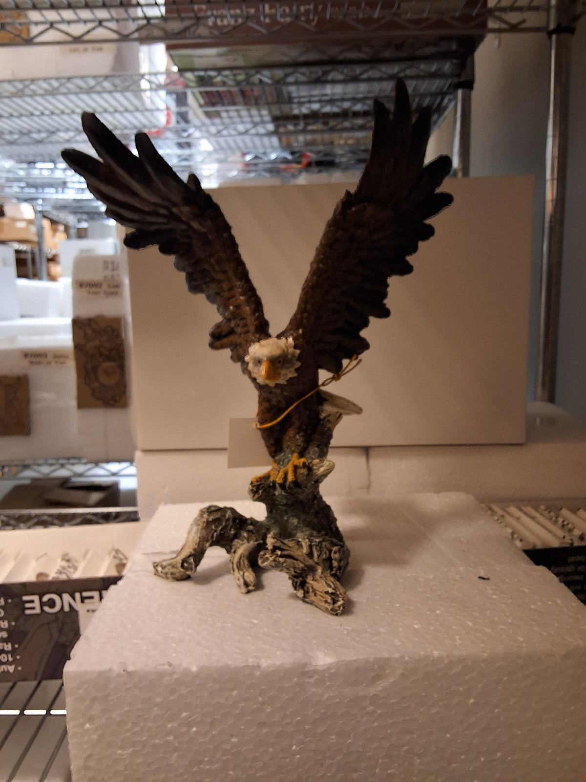 Eagle Taking Off