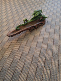Green dragon incense stick holder