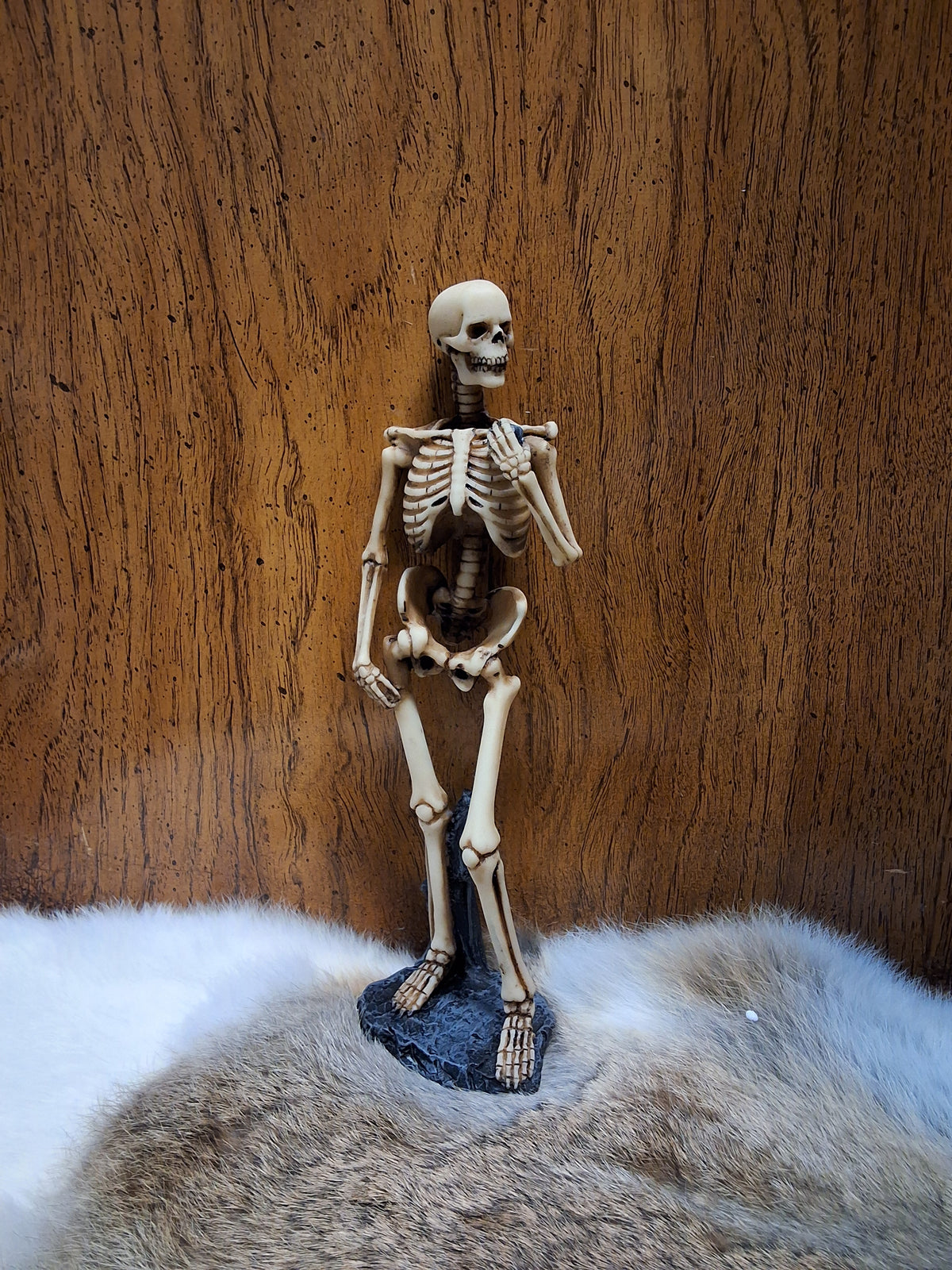 Skeleton Figure Holding Stone #1729