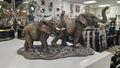 Elephant Couple Walking
