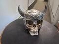 Skull in Nordic Helm
