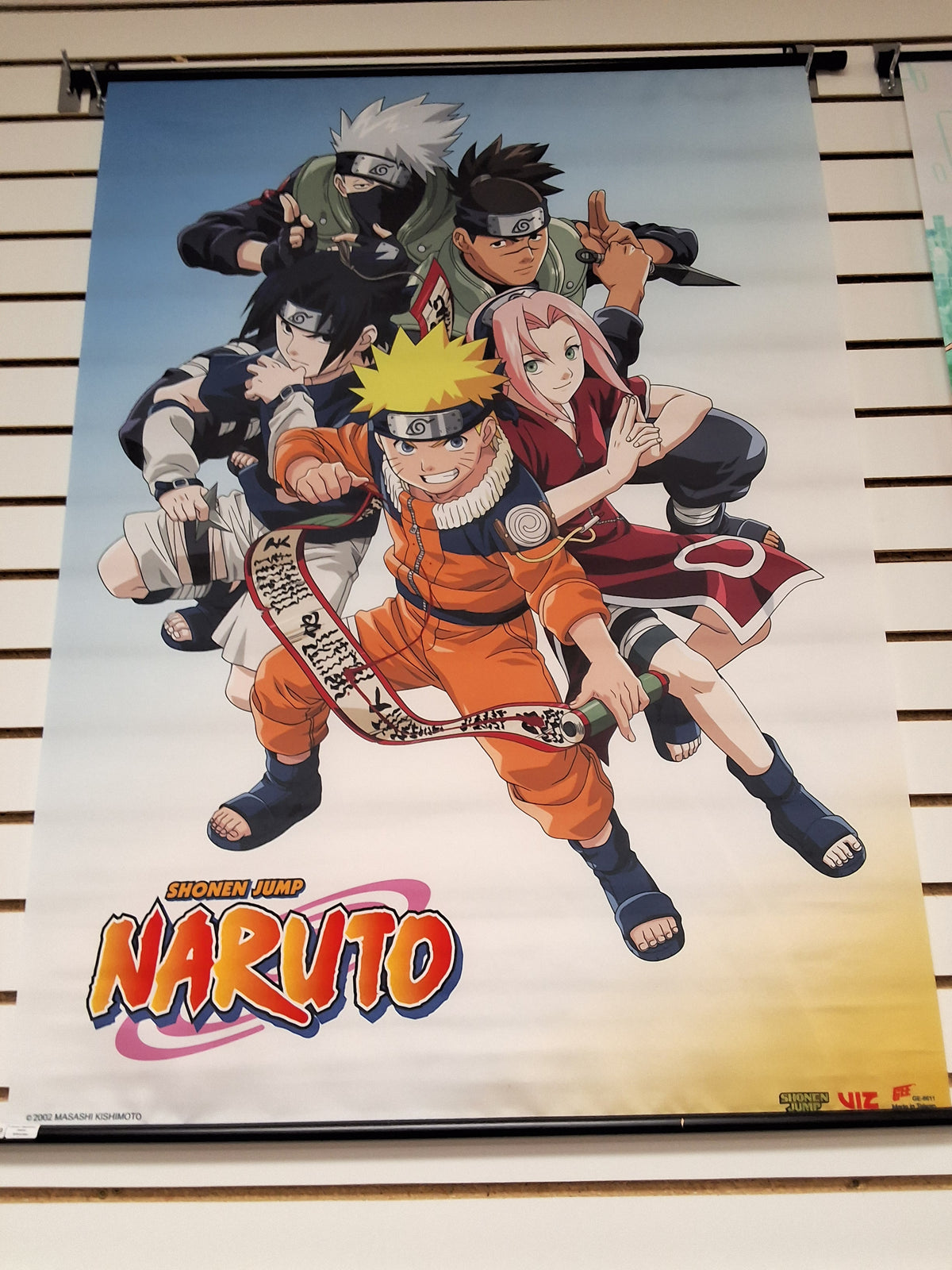 Anime Poster