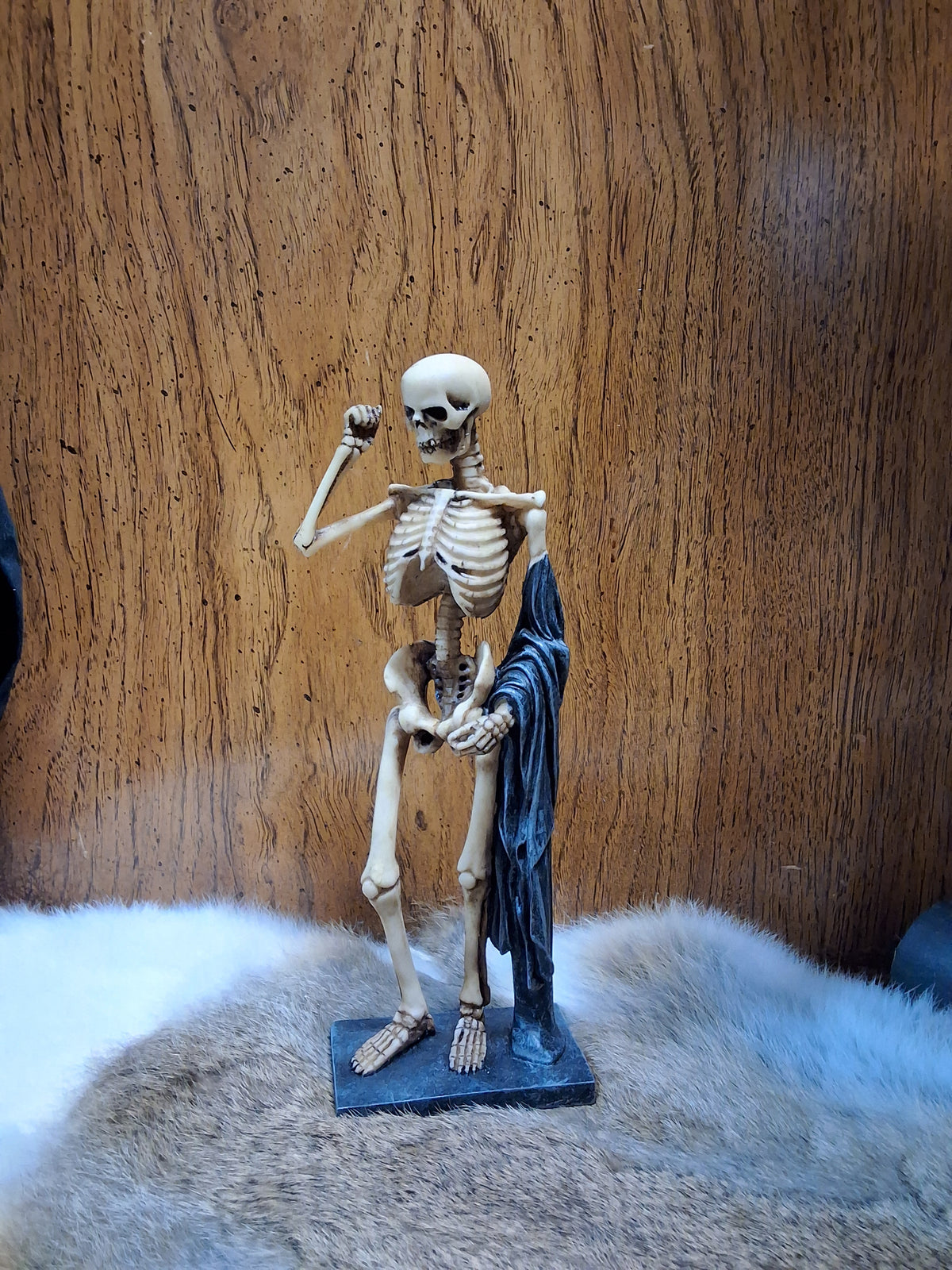 Skeleton Figure with Cloak #1727