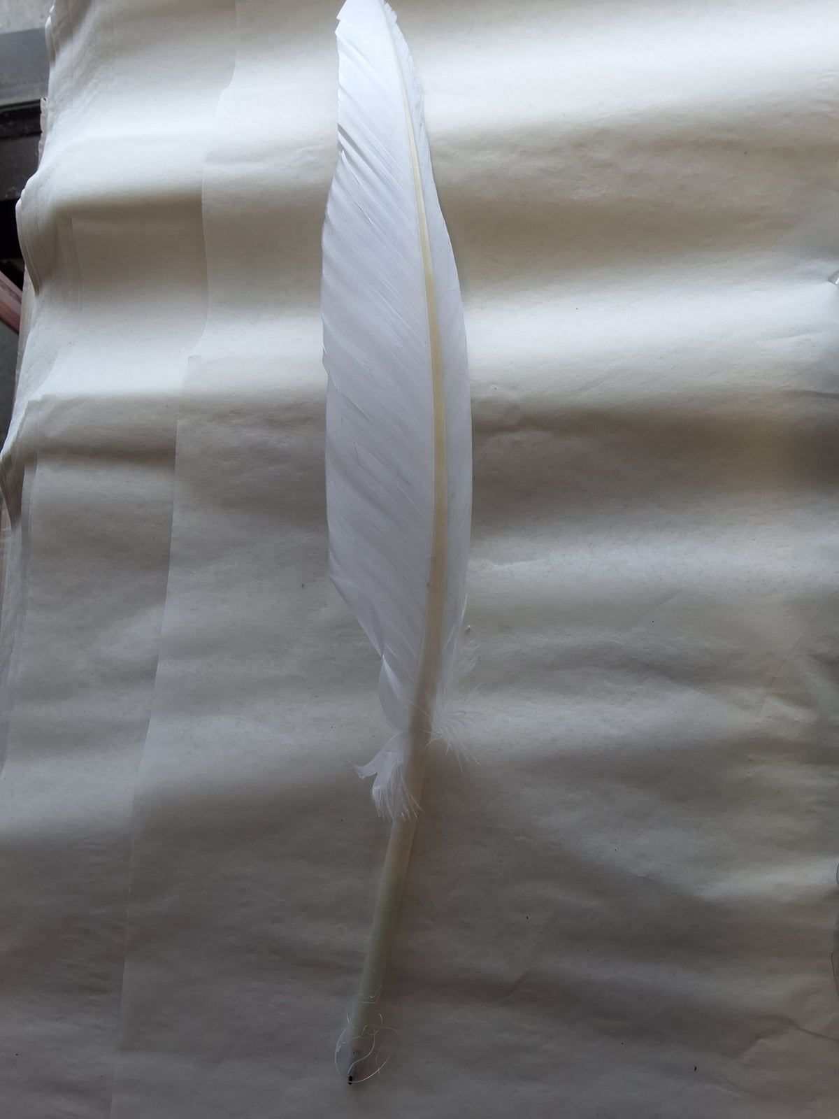 #1602 White Feather Pen