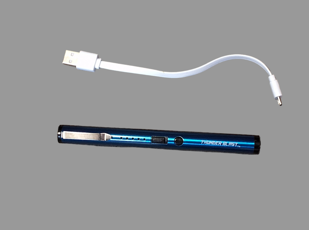 Blue Pen Stun Gun