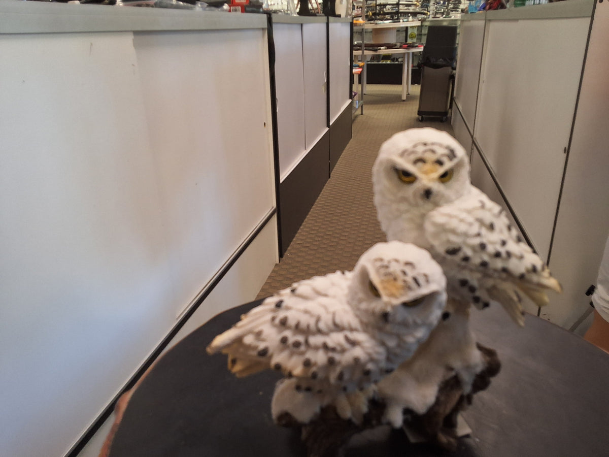 Snow Owls On A Limb