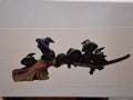 5 Black Cats On Broomstick #1922